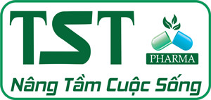 sieu-viet-group